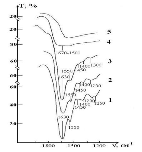 Figure 7: IR absorption spectra of the sample of test consisting of RBCs suspension in preservative CPDA-1 with saline solution that previously was processed by ICNB on main stages of the study: curve 1- stage I (day 1); curve 2 - stage V (day 28); curve 3 - stage VII (day 42).