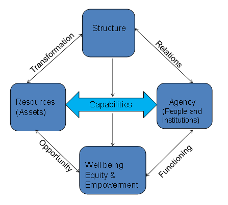 Figure 2: Capabilities and Well being.