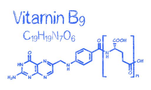 Figure 4: Schematic view of the vitamin B9 structure.