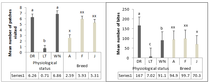 Figure 1: The mean number of patches (a) and bite (b) in relation to effects of breed and physiological condition of animals.