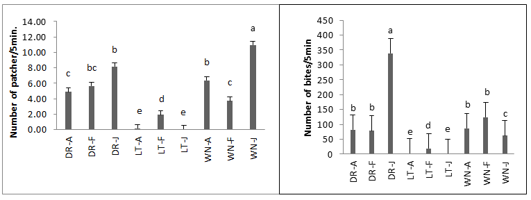 Figure 2: Interactive effect of breed and physiological status on mean number of patches (a) and bites (b).