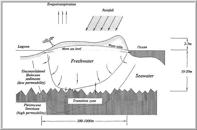 Figure 2: Freshwater lens in small Islands (Exaggerated vertical scale).