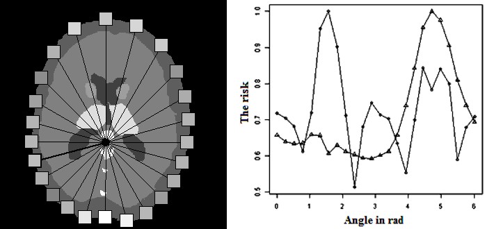 Figure 20