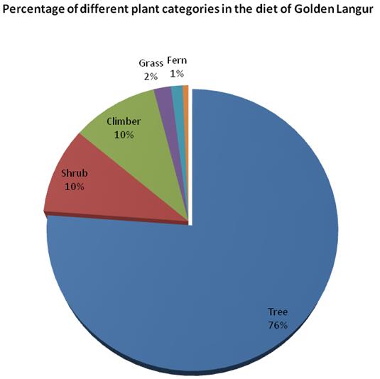 Figure 3: Percent composition of different food plants of Golden Langur belonging to different families in Kakoijana reserve forest during the study period (Families of different plants arranged based on ranking).