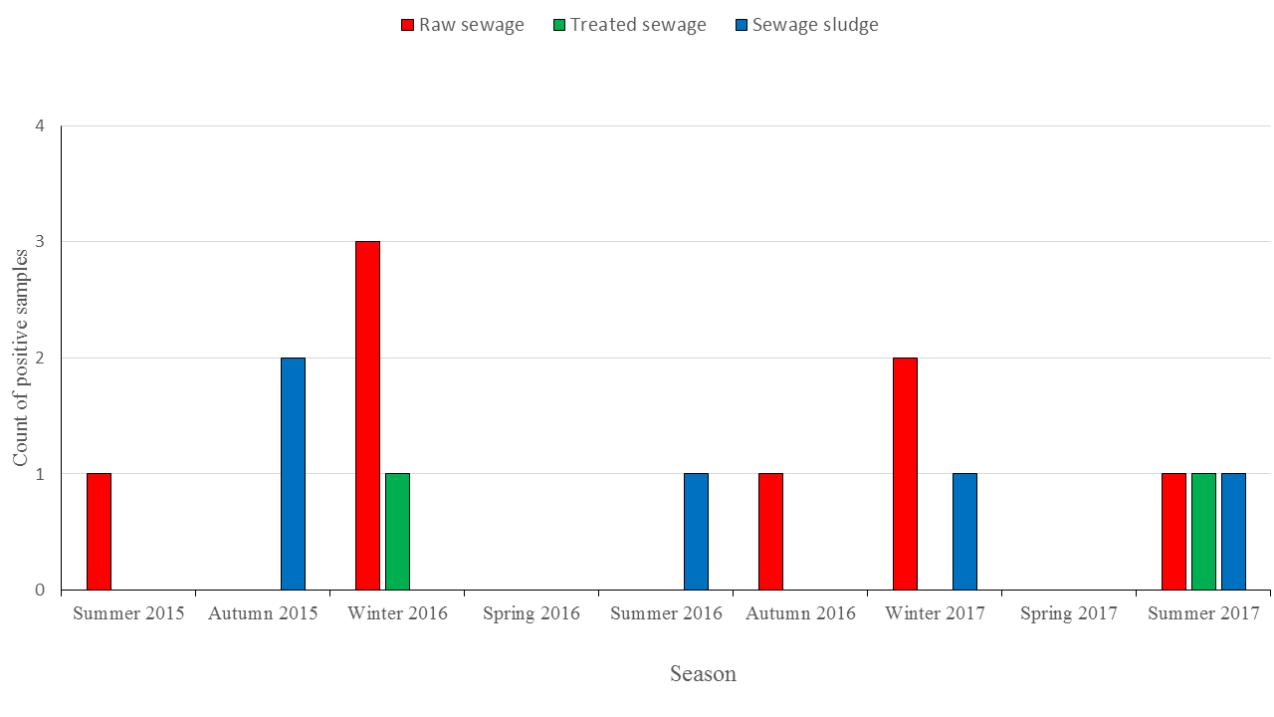 Figure 1: Semi-nested RT-PCR results for the detection of rotaviruses in raw sewage, treated sewage, and sewage sludge samples.