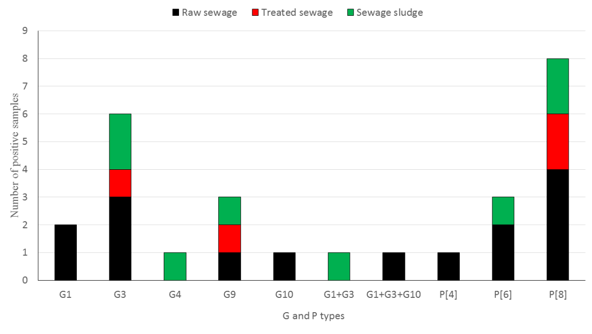 Figure 2: Rates of identification of RVA G types and P types detected in raw sewage, treated sewage, and sewage sludge from Egypt
