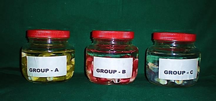 Figure 6: All Specimens Stored In Distilled Water.