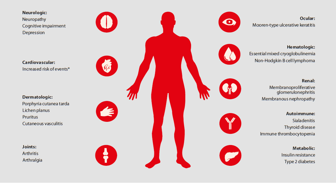Figure 2: Extrahepatic manifestations of hepatitis C virus infection by organ. Information adapted from [19].