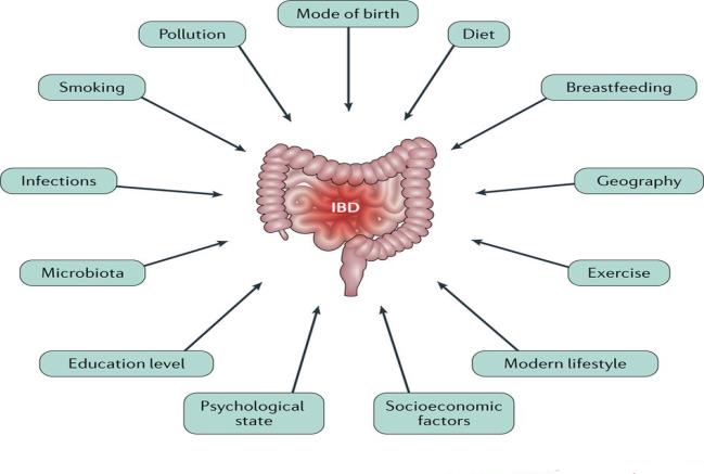 Figure 5: IBS Dietary Treatment Pathway.