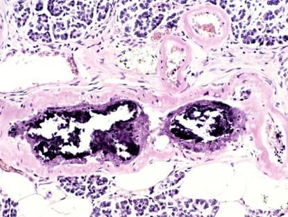 Figure 25