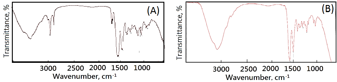 Figure 1: Fourier transform infrared spectroscopy analysis of (A) original porcine dermal materials and (B) resulting designed regenerative a cellular dermal collagen particles.