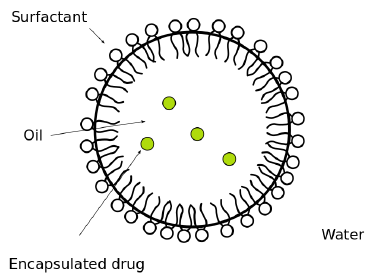 Figure 2: Schematic drawing of the Cefazolin nanoemulsion particle. The encapsulated Cefazolin is contained within the oil core, the surfactant provides reduced interfacial tension between the oil and the surrounding water.