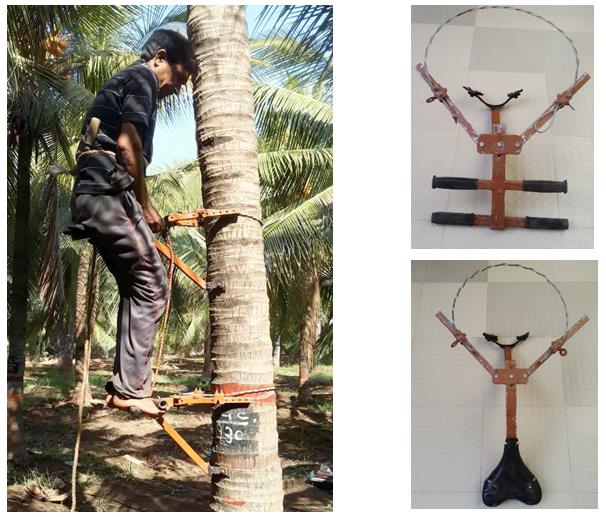 Figure 4: Sitting type coconut palm climbing device.