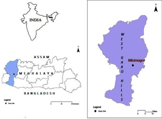 Figure 1: Tools found in Misimagre.