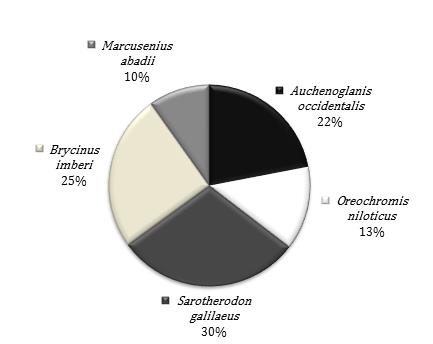 Figure 3: Composition of the preferred fish species in the Libga reservoir.