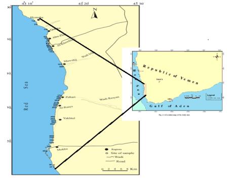 Figure 1: Map of the Study area showing the Sampling Points.