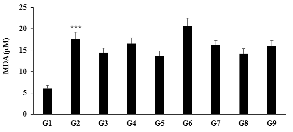 Figure 1: From the Figure 1, it was observed that the tissue (liver) lipid peroxidation level of the TBARS significantly (_p_≤0.001) increased by 193.83% in the disease control group (G2) compared to the normal control group (G1). Positive control group (G3) data showed reduction of MDA level compared to the G2 group. Further, the level of MDA was reduced by 22.75% and 19.57% in the Biofield Energy Treated test formulation (G5) and Biofield Energy Treatment _per se_ plus Biofield Energy Treated test formulation from day -15 (G8), respectively compared to the G2 group. Moreover, MDA level was reduced by 17.85% and 14.48% in the G5 and G8 groups, respectively compare to the untreated test formulation (G4) group (Figure 1). According to Hassan, et al. [44] the increased levels of TBARS could be a tumour burden in the disease control group induced by streptozotocin [44]. After post- treatment with the nanocurcumin based formulation the level of lipid peroxidation end product malondialdehyde (MDA) was significantly reduced in the Biofield Energy Treatment groups compared to the disease control group, which could be due to The Trivedi Effect® - Consciousness Energy Healing Treatment attributed to the scavenging of the reactive free radicals involved in the peroxidation [45].