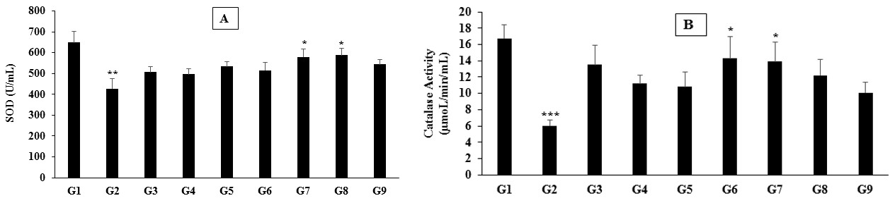 Figure 2: Enzymic antioxidant levels A) Superoxide dismutase (SOD) and B) Catalase of the test formulation after 56 days of treatment in male Sprague Dawley rats. Values are expressed as mean ± SEM, n=10 in each group. **p≤0.01 vs. G1; *p≤0.05 vs. G2; ***p≤0.001 vs. G1.