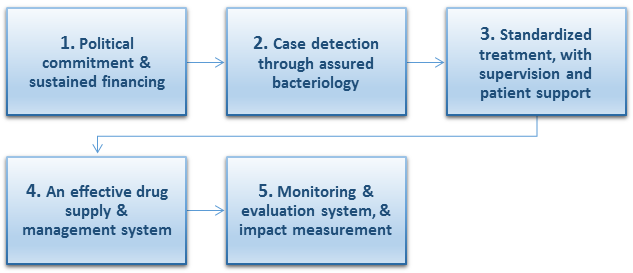 Figure 1: The five elements of the WHO anti-TB DOTS strategy [2].