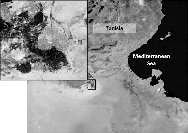 Figure 1: Map representing the site of the study. According to the annual reports of the National Program “Taking Care of Diabetic and Hypertensive patients (NPTCDH, Direction régionale des Unités des Soins et de Santé de Base, office of Douz, Ministère de la Santé Publique, Tunisia), averages of the latest three years (2010- 2012) of the prevalence of Diabetes (of all kinds), hypertension, and their association, are respectively of 2.23 ±0.31 %, 5.25 ±0.94 % and 1.96±0.25