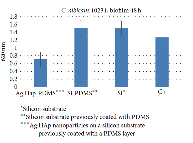 Figure 1: Representation of fungal biofilm development on different substrates.