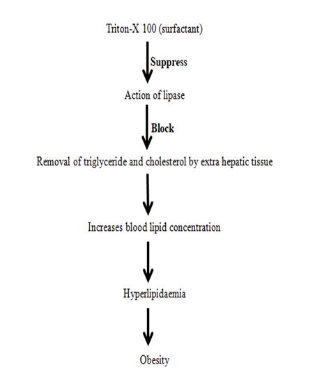 Figure 1: Structure of Triton X-100.