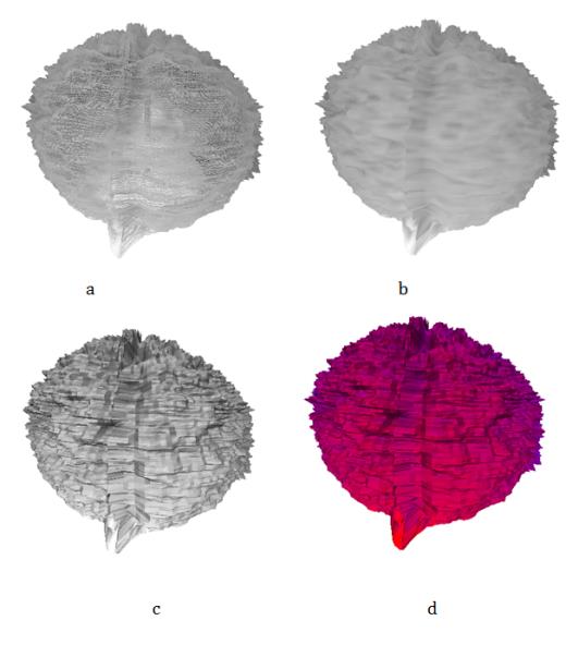 Figure 11: Visualization results of risk map: a- wireframe model; b, c- lighted models; g- painted model.