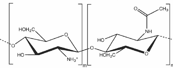 Figure 1: Chitosan chemical structure.