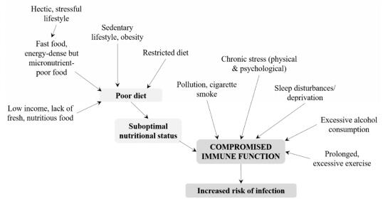 Figure 2: Life-style factors affecting immune function [20].