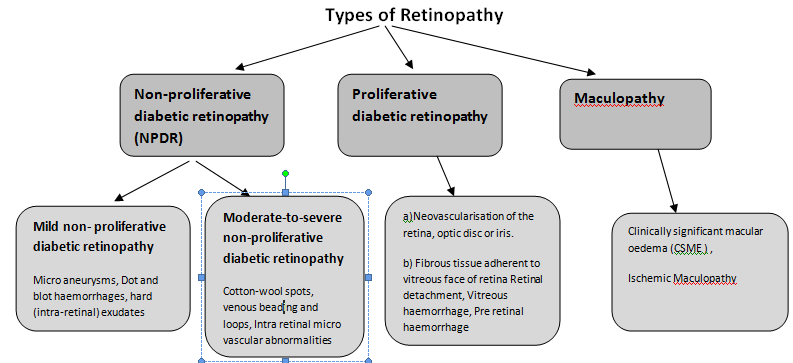 Figure 2: Different Stages of Diabetic Retinopathy.