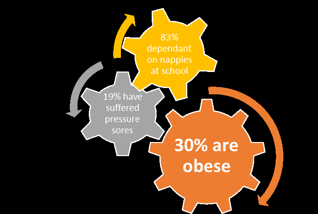 Figure 2: Physical Needs.