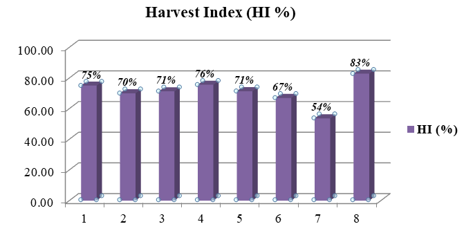 Figure 4: Marketable, Unmarketable and Total bulb number per plot.