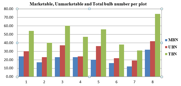 Figure 6: Marketable, Unmarketable and Total bulb number in percents. Marketable Bulb Yield (Ton/Dunam) As clearly indicated in table 1 above, the average marketable bulb yield per dunam was calculated and found to be 6.18 ton/dunam. **Unmarketable Bulb Yield (Ton/Dunam)** In similar fashion as specified in table 1 above, the average unmarketable bulb yield per dunam was calculated and found to be 2.44 ton/dunam. **Total Bulb Yield (Ton/Dunam)** In the same manner as showen in table 1 above again, the average total bulb yield per dunam which is the sum of marketable bulb yield (ton/dunam) and Unmarketable bulb yield (ton/dunam) was also calculated and found to be 8.62 ton/dunam.
