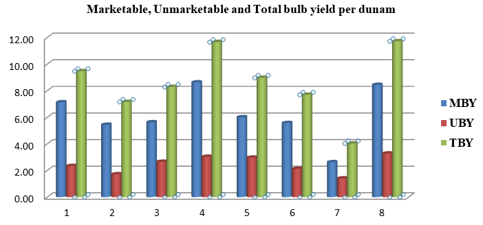 Figure 8: Marketable, Unmarketable and Total bulb yield per dunam.