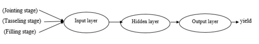 Figure 3: Corn growth characteristics using NN.