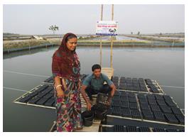 Figure 4: Shamnagar Private Crab Farm.