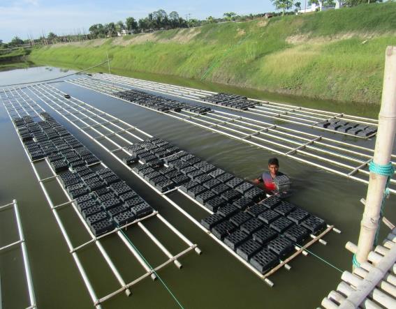 Figure 5: A cage for soft shell culture.