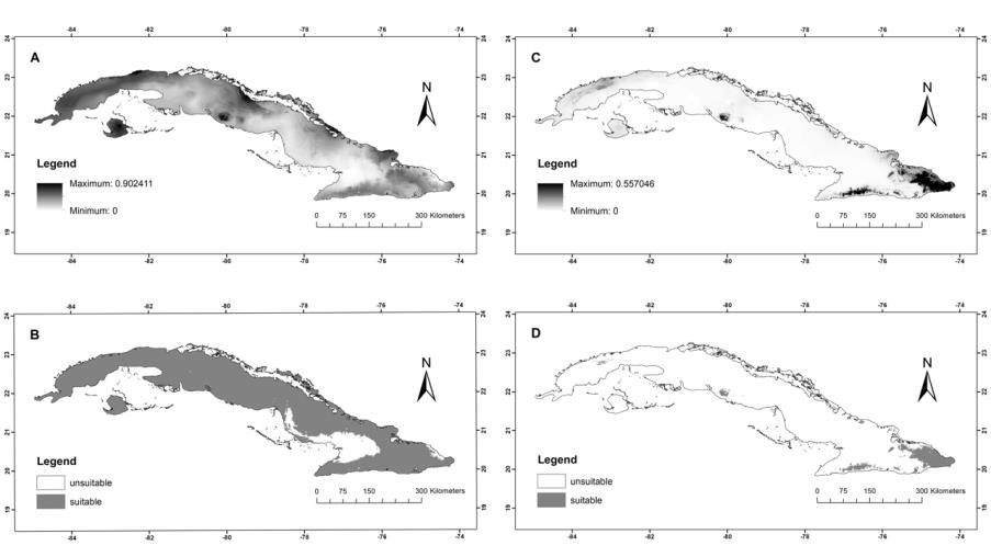 Figure 3: Climatic suitability models for (A) Diploglossus delasagra and (C) D. nigropunctatus, and their climatically suitable areas (B and D, respectively).