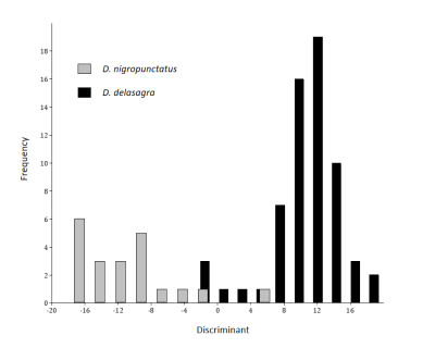 Figure 6: Graph result of the Discriminant Analysis of the ecological niches overlap of Diploglossus delasagra and D. nigropunctatus species (Sauria: Diploglossidae) in their known presence areas.