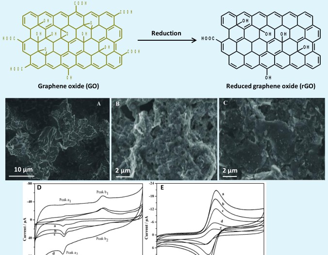 Figure 3: ** Construction of metal/metal oxide-MWCNTs modified electrode. (a) Scheme represents the layer-by-layer deposition method to prepare Au-Nps/MWCNTs modified glassy carbon electrode or the detection of bisphenol A. (b) Outline shows Au-Nps/MWCNTs modified electrode for the simultaneous determination of dopamine and uric acid.