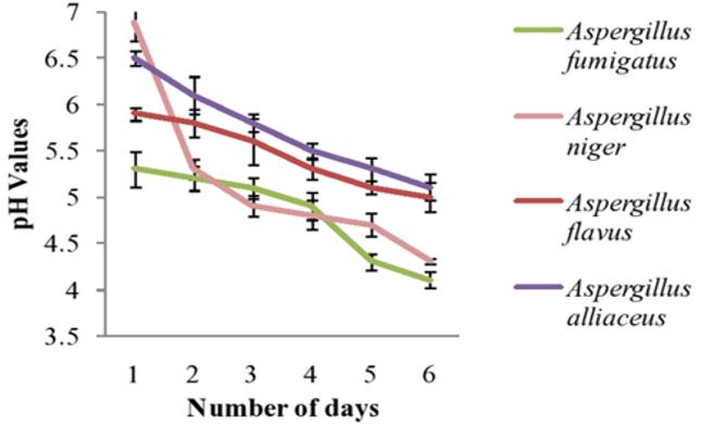 Figure 1: Efficiency of Fungal Species.