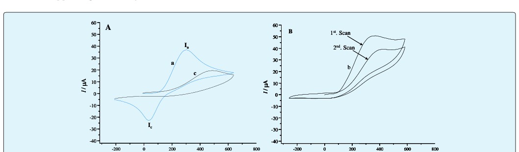Figure 1: Cyclic voltammogram of (A) 1.0mM catechol (a), 1.0mM methimazole (c) and (B) first and second cycles of 1.0mM catechol in the presence of 1.0mM methimazole (b) at a glassy carbon electrode (3.0 mm diameter) in 0.1 M phosphate buffer (pH 7.0). Scan rate 0.1 Vs-1.