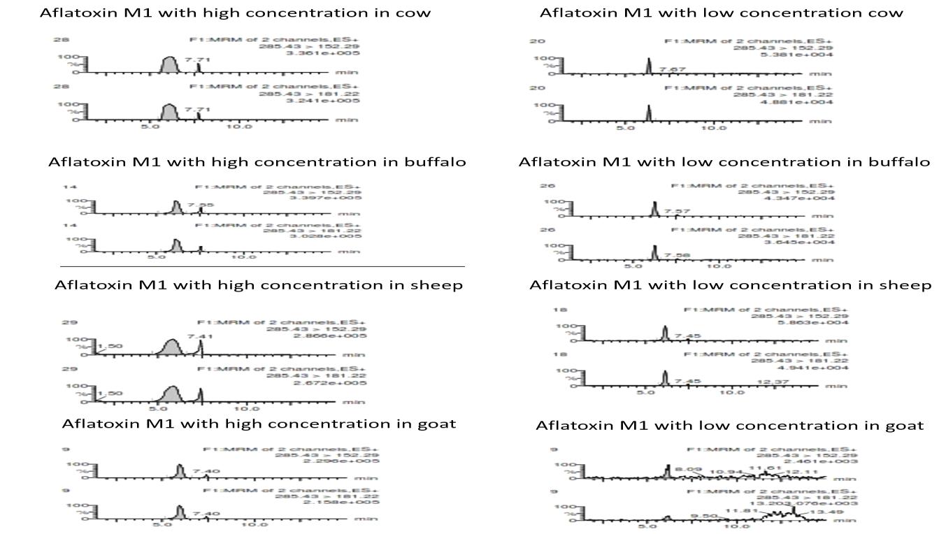 Figure 2: Highest and lowest AFM1 concentrations in examined raw milk samples of different dairy animals Open Access Journal of Veterinary Science & Research