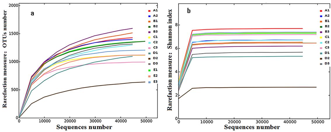 Figure 1: Rarefaction curves of 14 fresh fecal samples from overwintering Mandarin Ducks Identification of OTU and Alpha biodiversity.