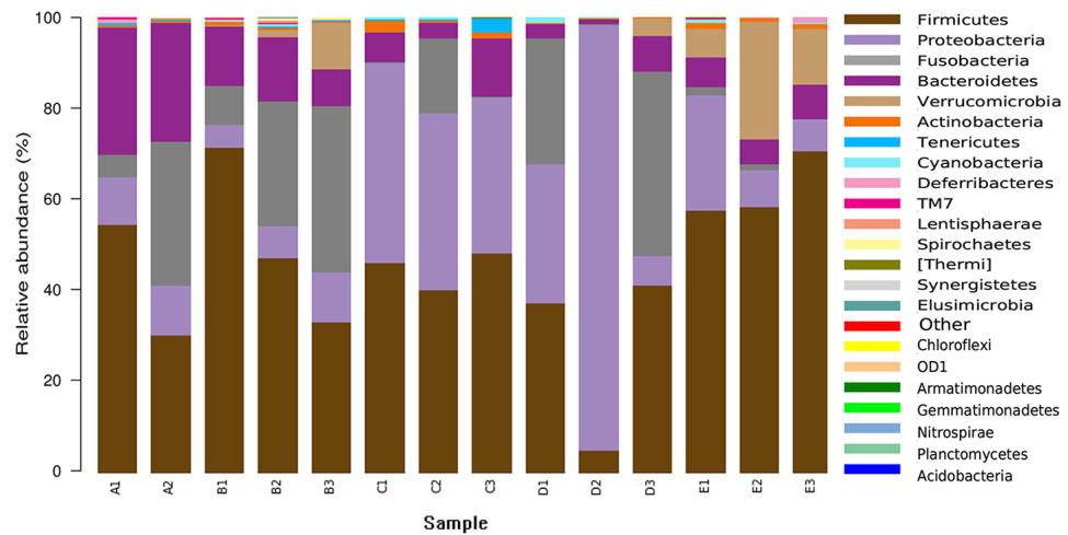 Figure 3: At phylum level, composition and relative abundance of 14 fresh fecal samples from overwintering Mandarin Ducks.
