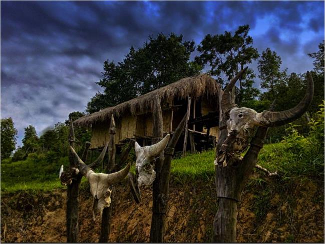 Figure 2: Seluphan post. Note the mithun skulls adorned atop the forked posts. Photo credit: Johny Ngurthansanga.
