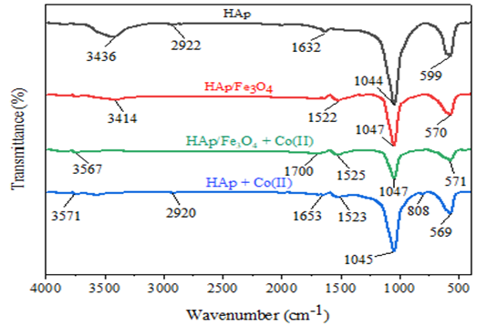 Figure 2: FTIR spectra of hydroxyapatite and hydroxyapatite/Fe3O4 nanocomposite before and after cobalt ion adsorption from aqueous solution.