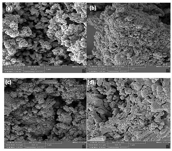 Figure 3: SEM images of the surface of (a) hydroxyapatite, (b) hydroxyapatite/Fe3O4 nanocomposite, (c) hydroxyapatite after adsorption of lead ions (d) hydroxyapatite/Fe3O4 composite after adsorption of lead ion.
