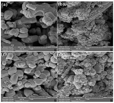 Figure 4: SEM images of the surface of (a) hydroxyapatite, (b) hydroxyapatite/Fe3O4 nanocomposite, (c) hydroxyapatite after adsorption of cobalt ions (d) hydroxyapatite/Fe3O4 nanocomposite after adsorption of cobalt ions.