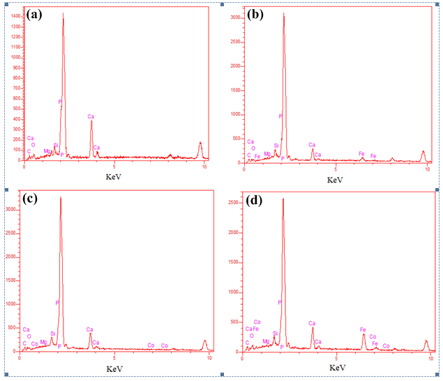 Figure 6: A peak of lead ion and also cobalt ion adsorption illustrates the adsorption of the heavy metal ions.